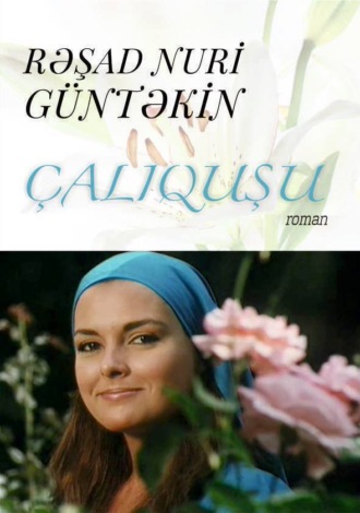 . Çalıquşu