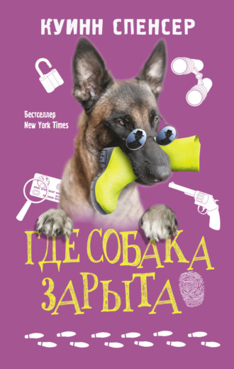 Спенсер Куинн. Где собака зарыта