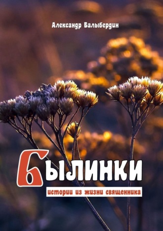 Александр Балыбердин. Былинки. Истории из жизни священника
