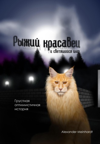 . Рыжий красавец и светящийся шар