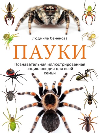 . Пауки. Познавательная иллюстрированная энциклопедия для всей семьи