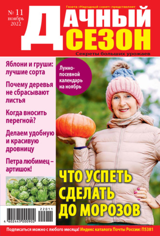 . Дачный сезон №11/2022