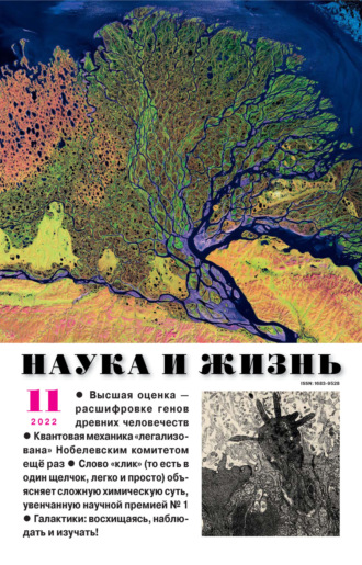 . Наука и жизнь №11/2022
