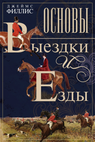 . Основы выездки и езды