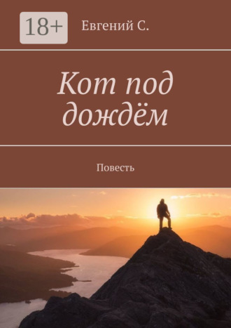 . Кот под дождём. Повесть
