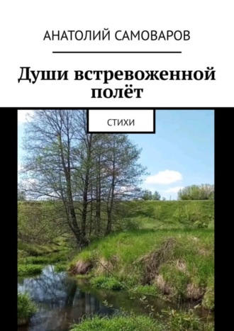 . Души встревоженной полёт. Стихи