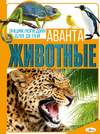 . Животные
