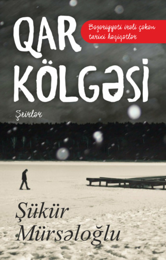 Mürsəloğlu Şükür. Qar kölgəsi