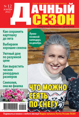 . Дачный сезон №12/2022