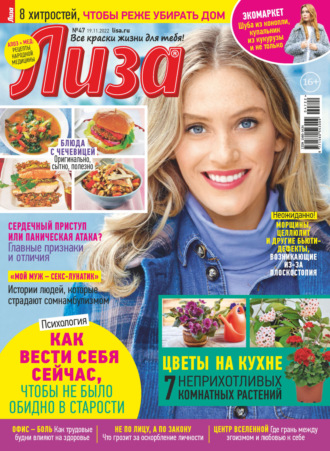 . Журнал «Лиза» №47/2022