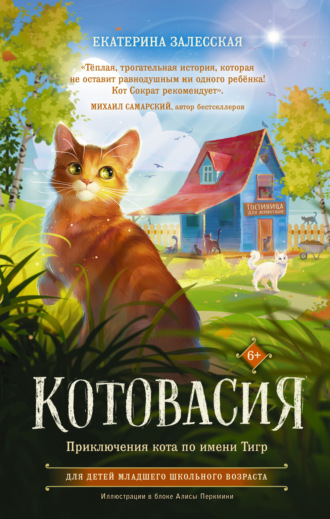 . Котовасия. Приключения кота по имени Тигр