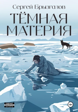Сергей Владимирович Брызгалов. Тёмная материя