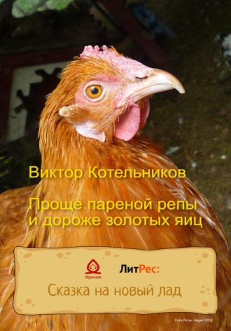 Виктор Котельников. Проще пареной репы и дороже золотых яиц