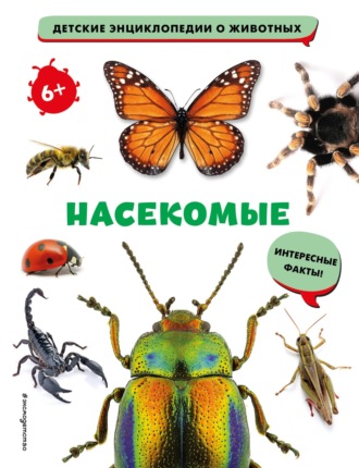 . Насекомые