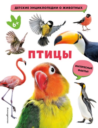 . Птицы