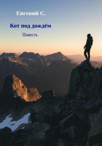 . Кот под дождём
