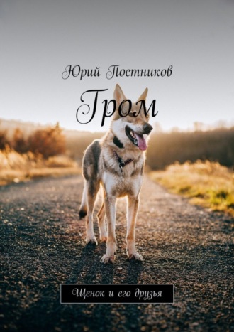 . Гром. Щенок и его друзья