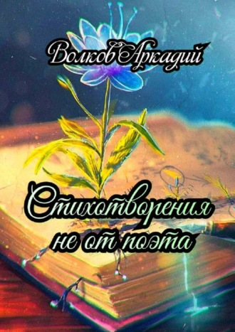 . Стихотворения не от поэта