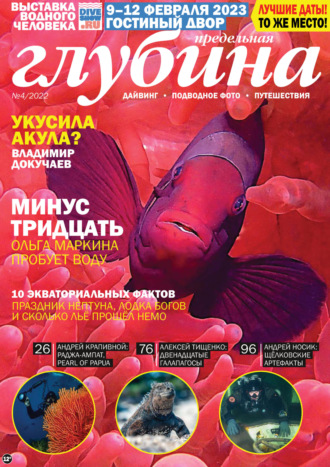 . Предельная Глубина №4/2022