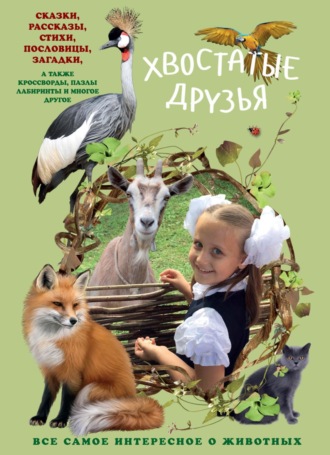. Хвостатые друзья