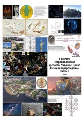 . 4-й ключ. Петропавловская крепость. Увядшее Древо Жизни и перерождение. Часть 1