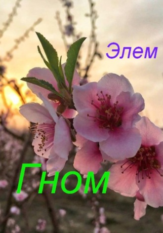 Элем -. Гном