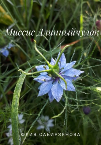 . Миссис Длинныйчулок