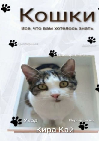 . Кошки. Все, что вам хотелось знать
