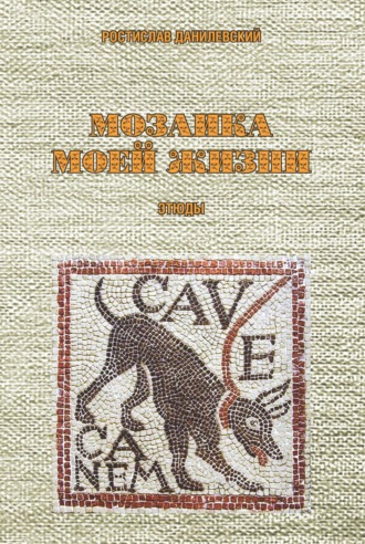 . Мозаика моей жизни