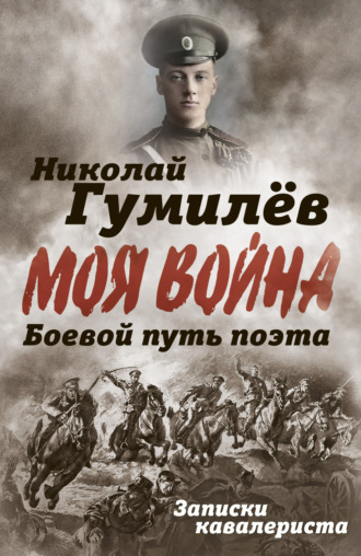 . Боевой путь поэта. Записки кавалериста