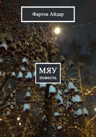 Айдар Табрисович Фартов. Мяу