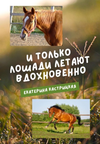 . И только лошади летают вдохновенно