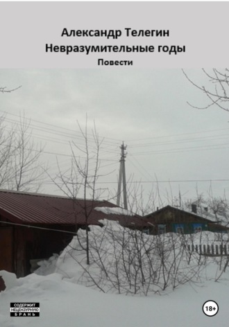 Александр Александрович Телегин. Невразумительные годы