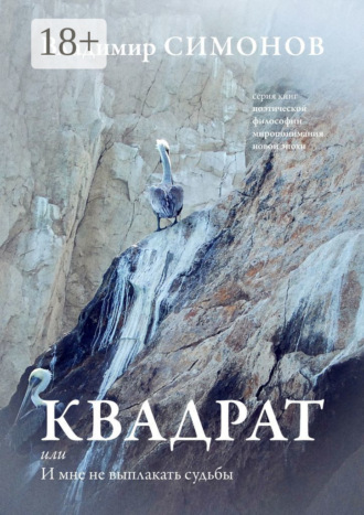 . Квадрат, или И мне не выплакать судьбы