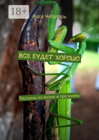 . Все будет хорошо. Рассказы из жизни и про жизнь