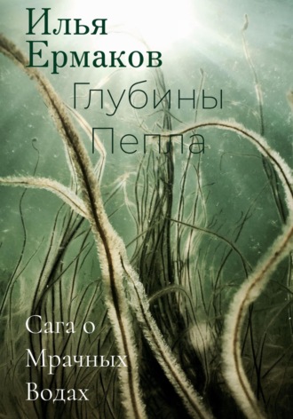 Илья Сергеевич Ермаков. Сага о Мрачных Водах. Глубины Пепла