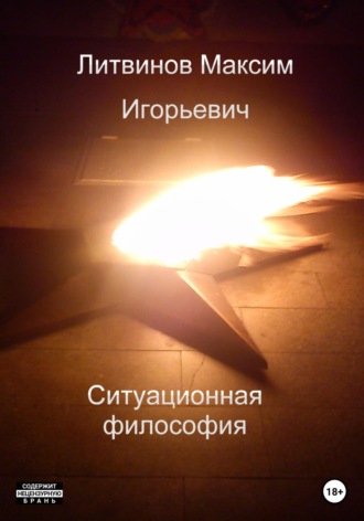 Максим Игорьевич Литвинов. Ситуационная философия