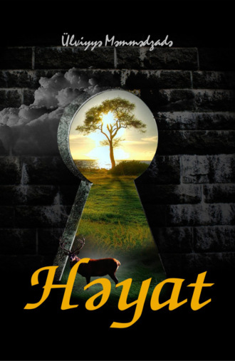 Ülviyyə Məmmədzadə. Həyat