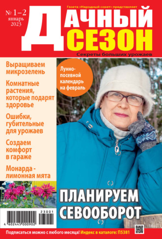 . Дачный сезон №01-02/2023