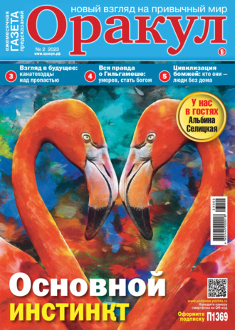 . Оракул №02/2023