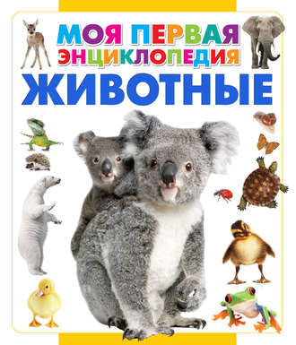 . Животные