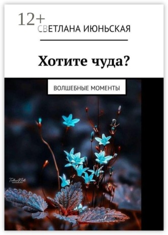. Хотите чуда? Волшебные моменты