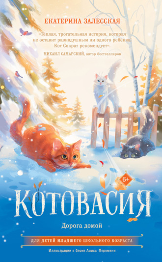 . Котовасия. Дорога домой