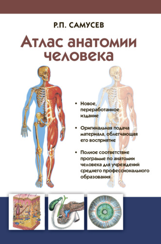 . Атлас анатомии человека. Учебное пособие для студентов учреждений среднего профессионального образования