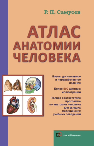 . Атлас анатомии человека. Учебное пособие для студентов высшего профессионального образования