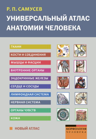 . Универсальный атлас анатомии человека