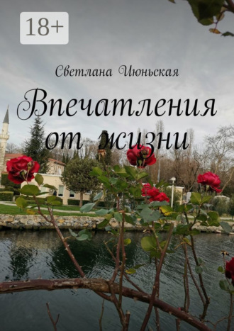 . Впечатления от жизни