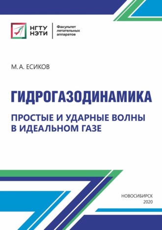 Максим Есиков. Гидрогазодинамика. Простые и ударные волны в идеальном газе