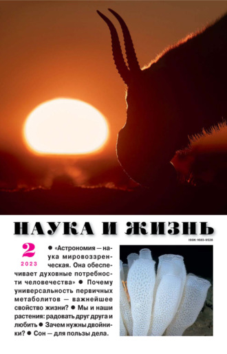 . Наука и жизнь №02/2023
