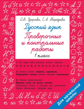 . Русский язык. 1 класс. Проверочные и контрольные работы